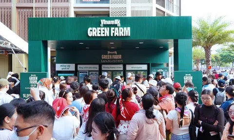 Top 10 thương hiệu sữa được chọn mua nhiều nhất Việt Nam: có đến 5 nhãn hiệu cùng “nhà Vinamilk”