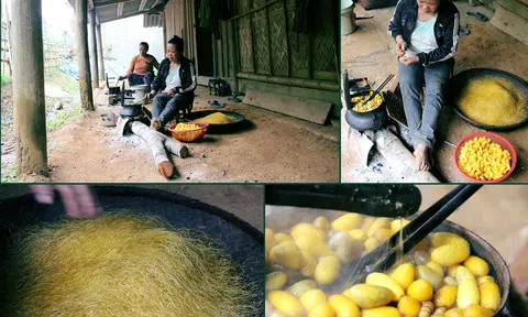 Ngày vui trên đất "vàng vui"