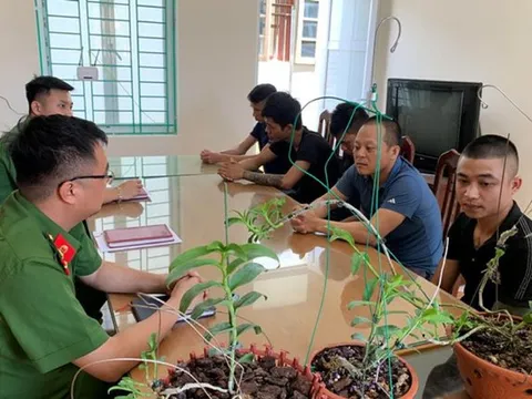 Biến tướng đa cấp, rửa tiền từ mua bán lan